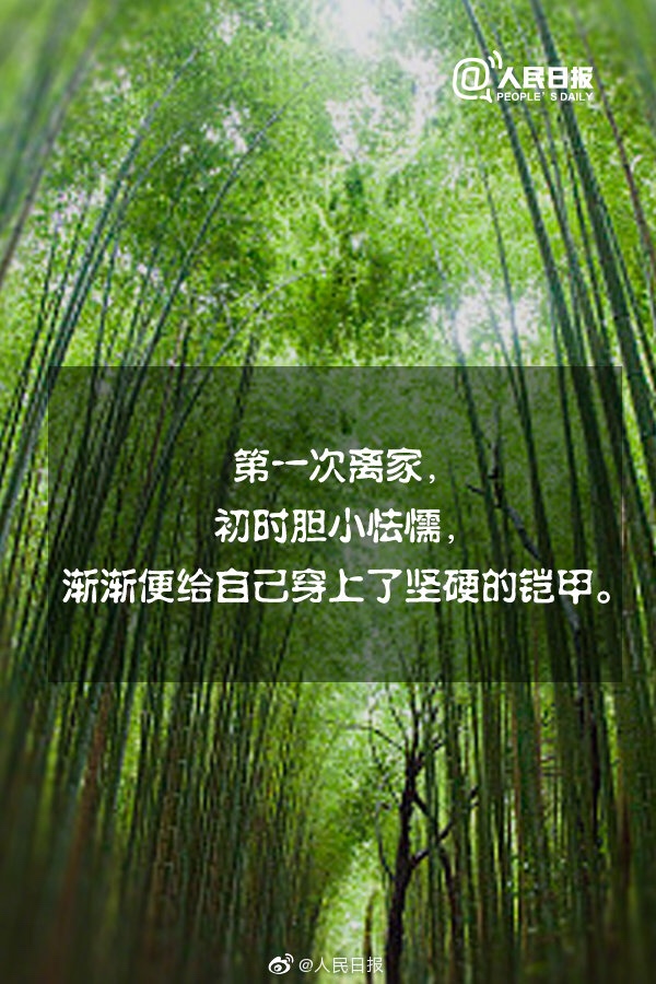 人民日报清晨的问候