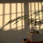 五不会武功的“竹”