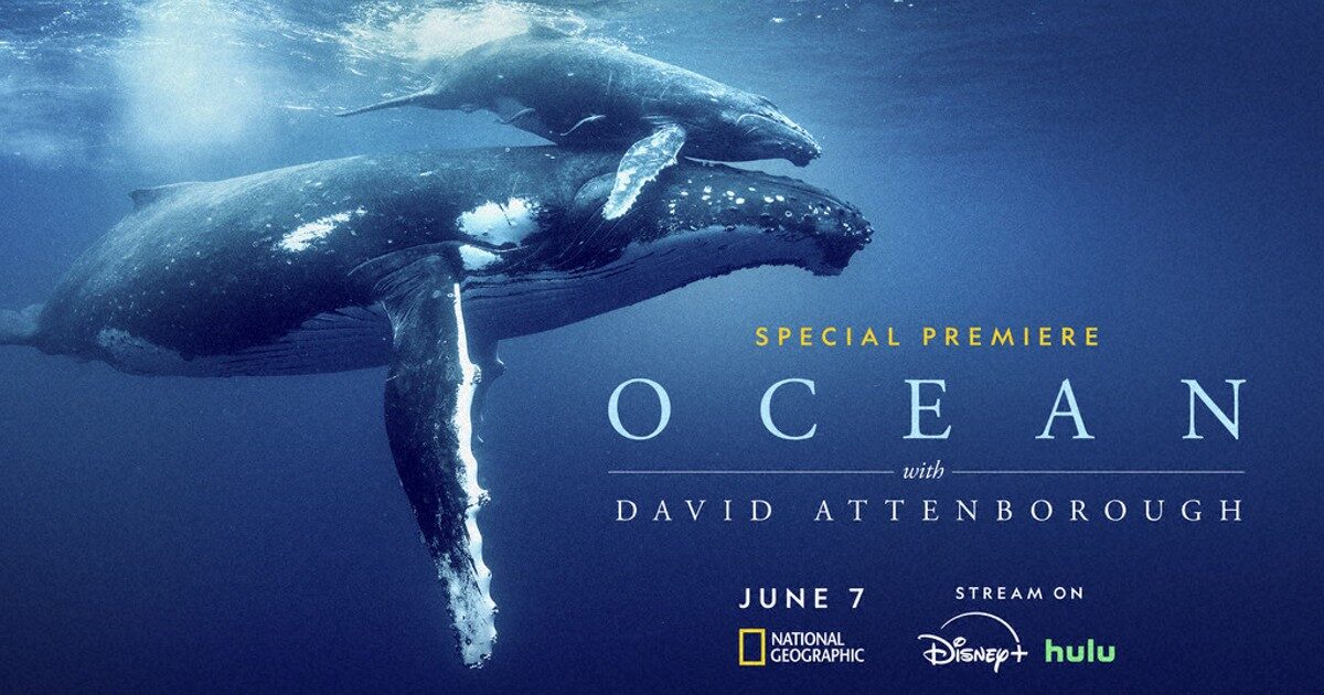 海洋：和大卫・爱登堡一起Ocean.With.David.Attenborough